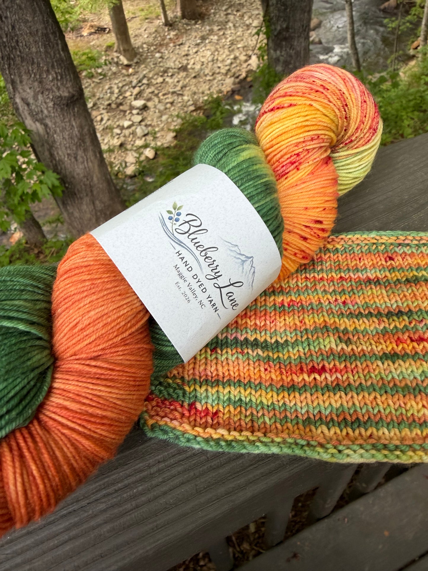 Blueberry Lane - Soco Sock